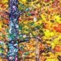 Colored Pencil FAA 04